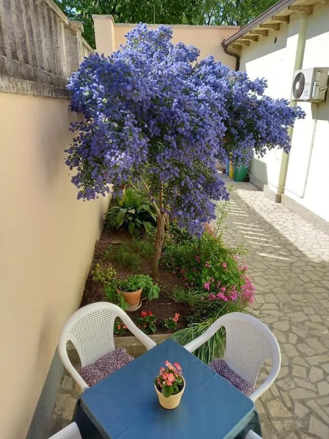 Apartment Punta Pula