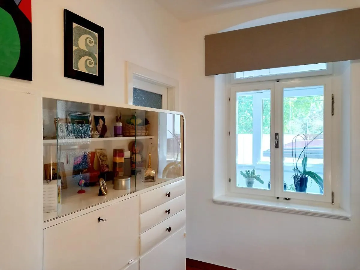Apartment Punta Pula 0*,