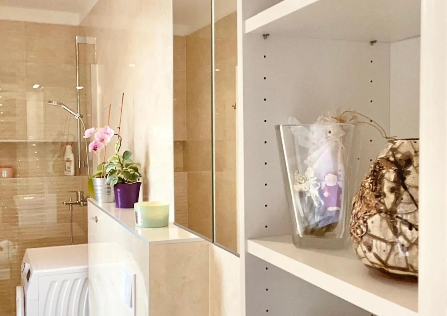 Apartment Punta Pula Croatia